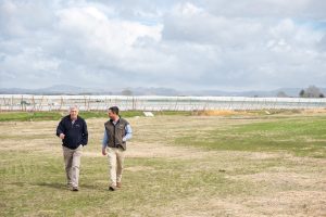 Positive prospects for horticulture and kiwifruit property market | PGG Wrightson Real Estate