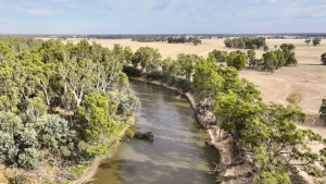 Experts say variation the hallmark of 2025 property market